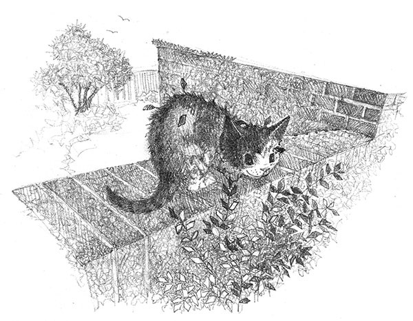 Котёнок Клео, или Путешествие непоседы Котёнок Клео, или Путешествие непоседы