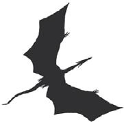 Темнота драконов