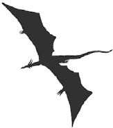 Темнота драконов