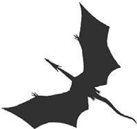 Темнота драконов