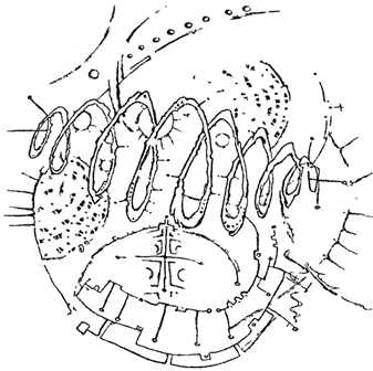 Сновиденный практикум Равенны. Ступень 3