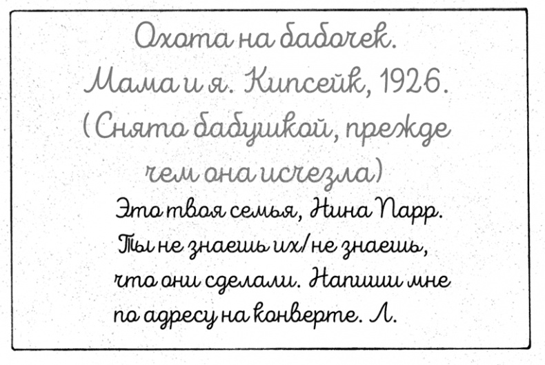 Лето бабочек Лето бабочек