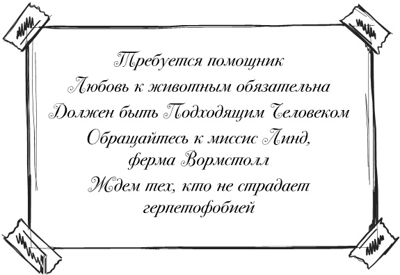 Ископаемые Ископаемые