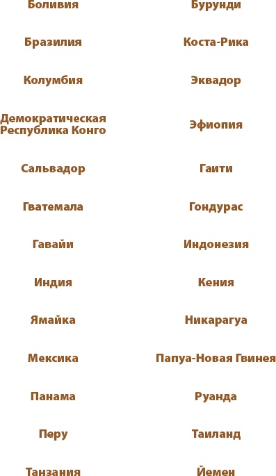 Магия кофе. Полная энциклопедия