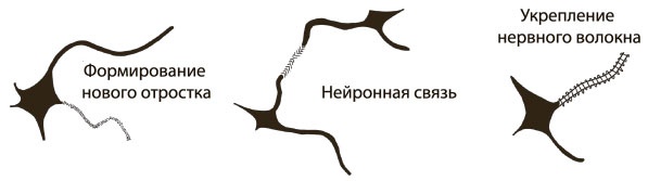 Безграничный разум