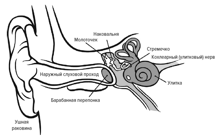 Зачем мы говорим Зачем мы говорим