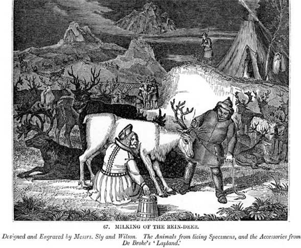 Молоко! Самый спорный продукт Молоко! Самый спорный продукт