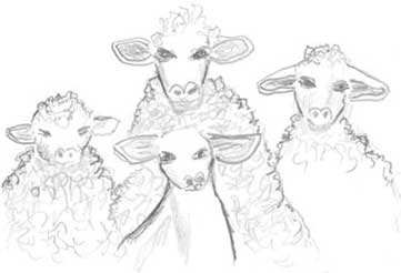 Молоко! Самый спорный продукт Молоко! Самый спорный продукт