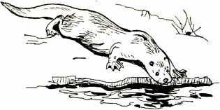 Том в горах Том в горах