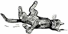 Том в горах Том в горах