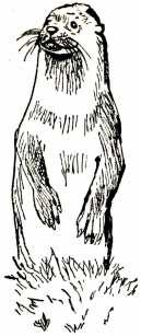 Том в горах Том в горах