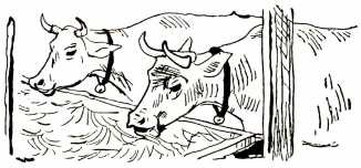 Том в горах Том в горах