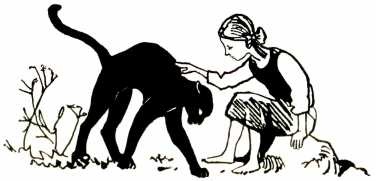 Том в горах Том в горах