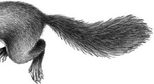 День огня День огня