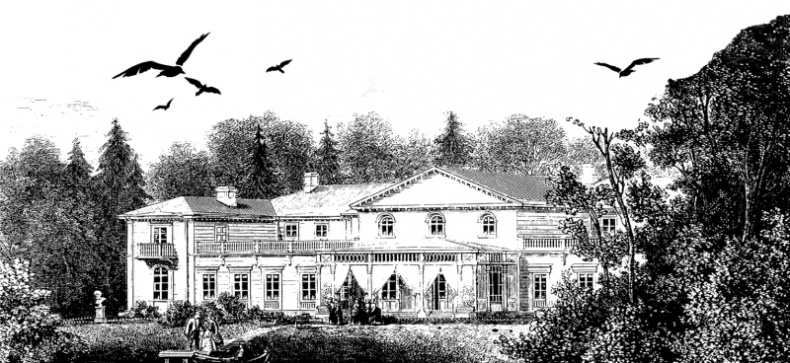 Сеть птицелова Сеть птицелова