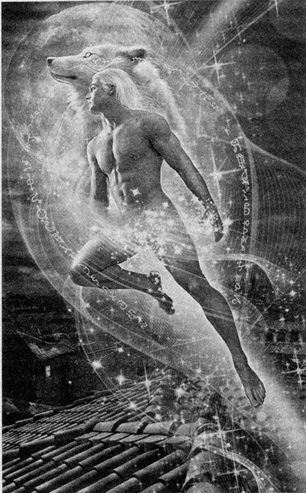 Попаданство со скидкой