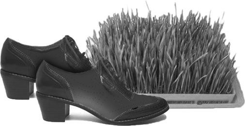 Портал Портал