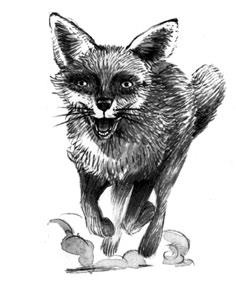 Принцесса или ведьма