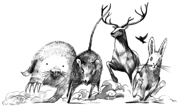 Принцесса или ведьма