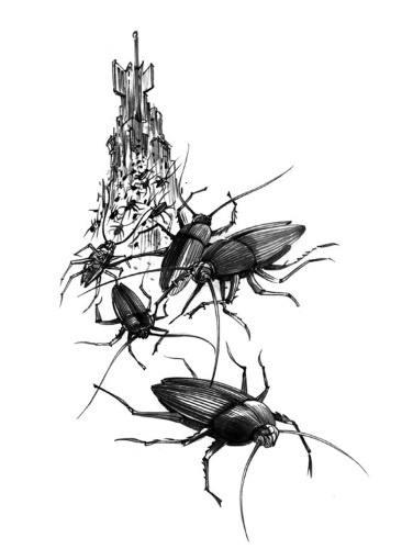 Принцесса или ведьма