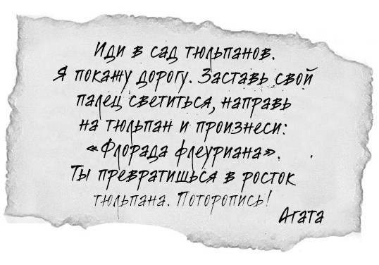 Принцесса или ведьма