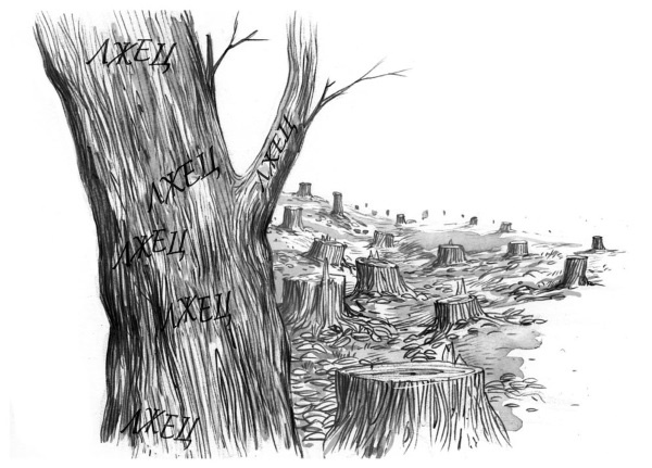 Принцесса или ведьма