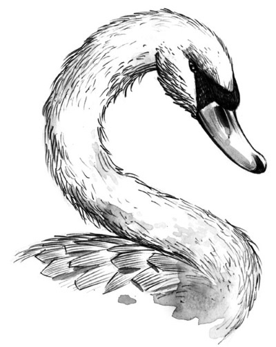 Принцесса или ведьма