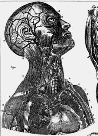 Энциклопедия абсолютного и относительного знания