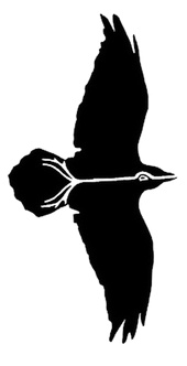 Половина солнца