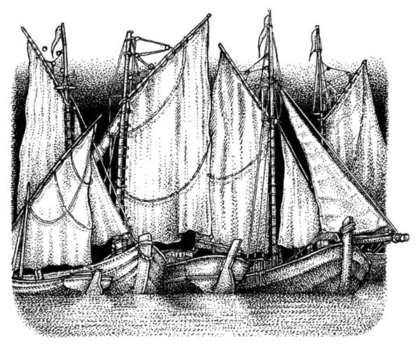 Правда о Салли Джонс Правда о Салли Джонс