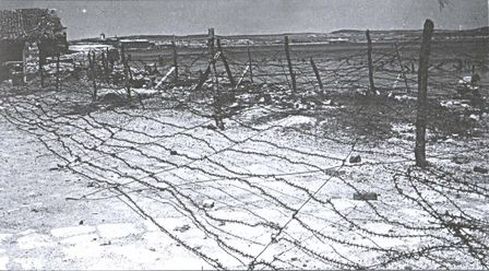 Большой десант. Керченско-Эльтигенская операция Большой десант. Керченско-Эльтигенская операция