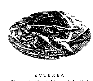 Возвращение в Эдем - Гарри Гаррисон