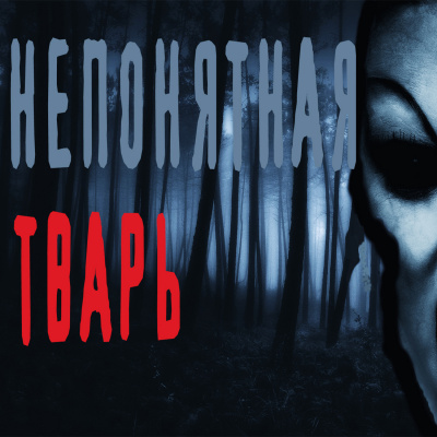 Васалаев Роман - Непонятная тварь