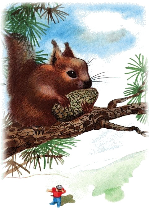 Денис-изобретатель. Книга для развития изобретательских способностей детей младших и средних классов Денис-изобретатель. Книга для развития изобретательских способностей детей младших и средних классов