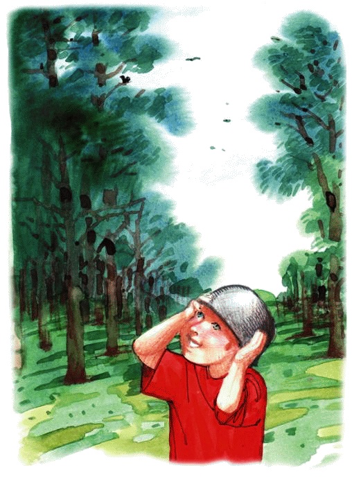 Денис-изобретатель. Книга для развития изобретательских способностей детей младших и средних классов Денис-изобретатель. Книга для развития изобретательских способностей детей младших и средних классов