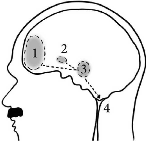 Психология зла Психология зла