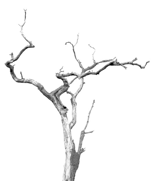 Ведьмин день