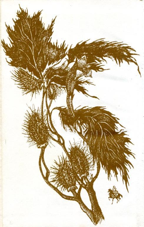 Призраки замка Пендрагон. Ожерелье королевы Призраки замка Пендрагон. Ожерелье королевы