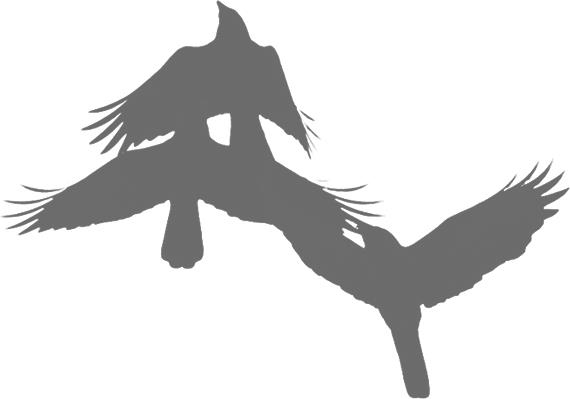 Ночной ворон Ночной ворон