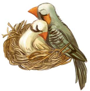 Шерлок Кот. Похищенное колье Шерлок Кот. Похищенное колье