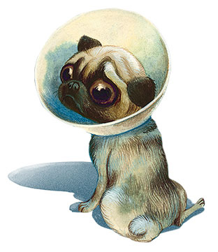 Шерлок Кот. Усатые контрабандисты Шерлок Кот. Усатые контрабандисты