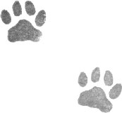 Портрет призрака Портрет призрака