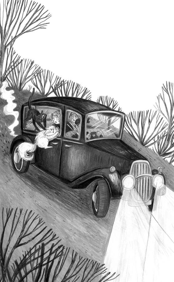 Портрет призрака Портрет призрака