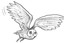 Парк призраков Парк призраков