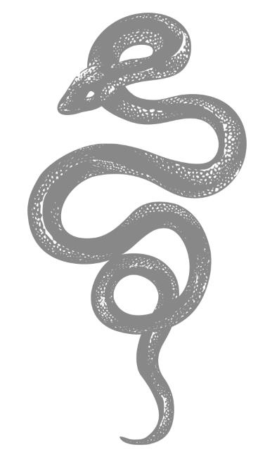 Королевство душ Королевство душ