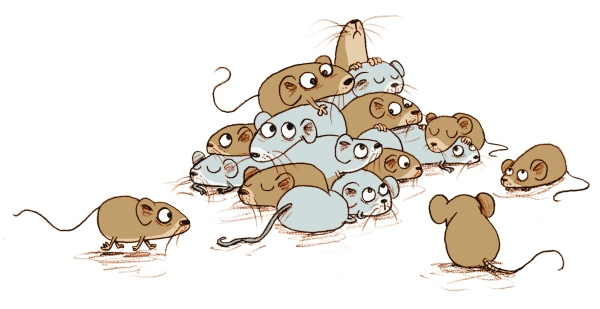 Полосатый герой Полосатый герой