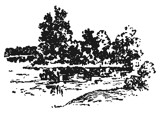 Саша и Шура - Анатолий Алексин