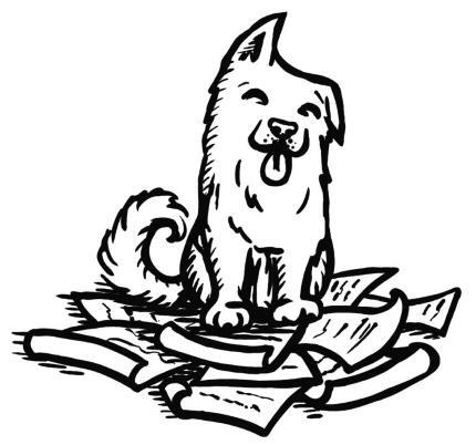 О чем пьют ветеринары. Нескучные рассказы о людях, животных и сложной профессии О чем пьют ветеринары. Нескучные рассказы о людях, животных и сложной профессии