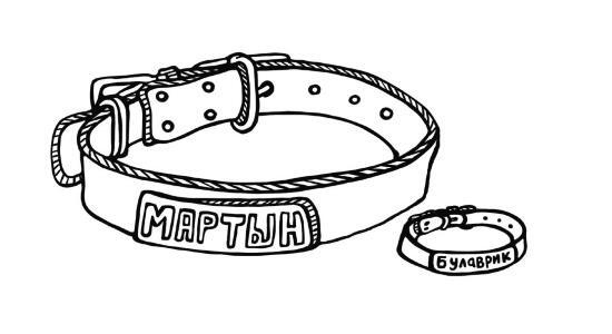 О чем пьют ветеринары. Нескучные рассказы о людях, животных и сложной профессии О чем пьют ветеринары. Нескучные рассказы о людях, животных и сложной профессии