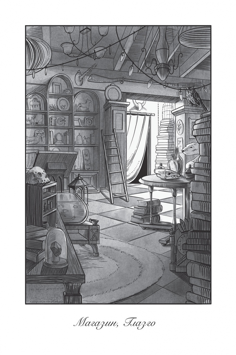 Магазин из Ниоткуда